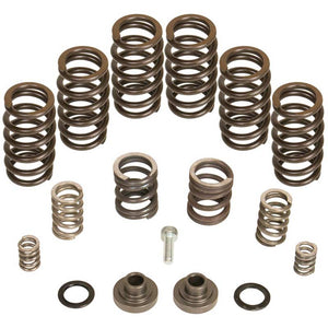 BD Diesel 1040185 4000 RPM Governor Spring Kit