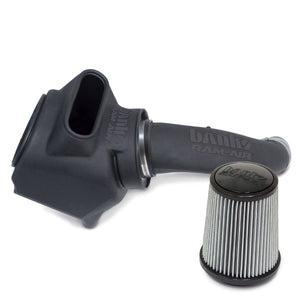 Banks Power 42249-D Ram-Air Intake System with Dry Filter