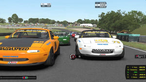 Motorsports