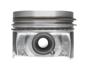 Mahle 224-3985WR-0.25MM Piston with Rings (.25mm)
