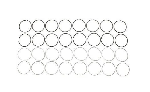Mahle 41909.01 Complete Piston Ring Set (.010)
