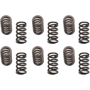 Industrial Injection 24G801 150LB Valve Springs